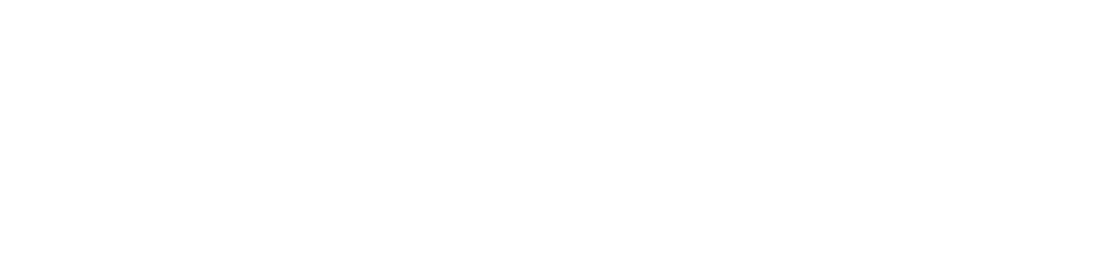 カーレポ